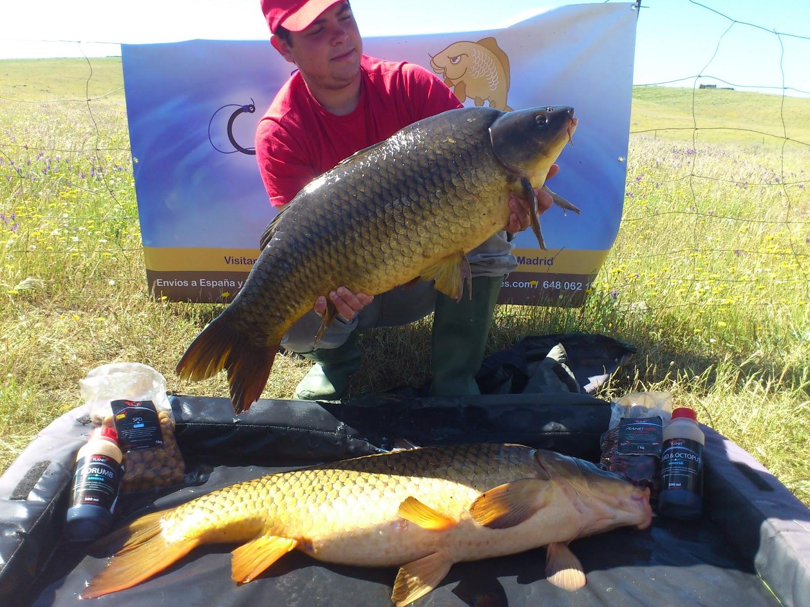 SNZ PLANET SPAIN MAI 2013 - snz-planet-spain.JPG